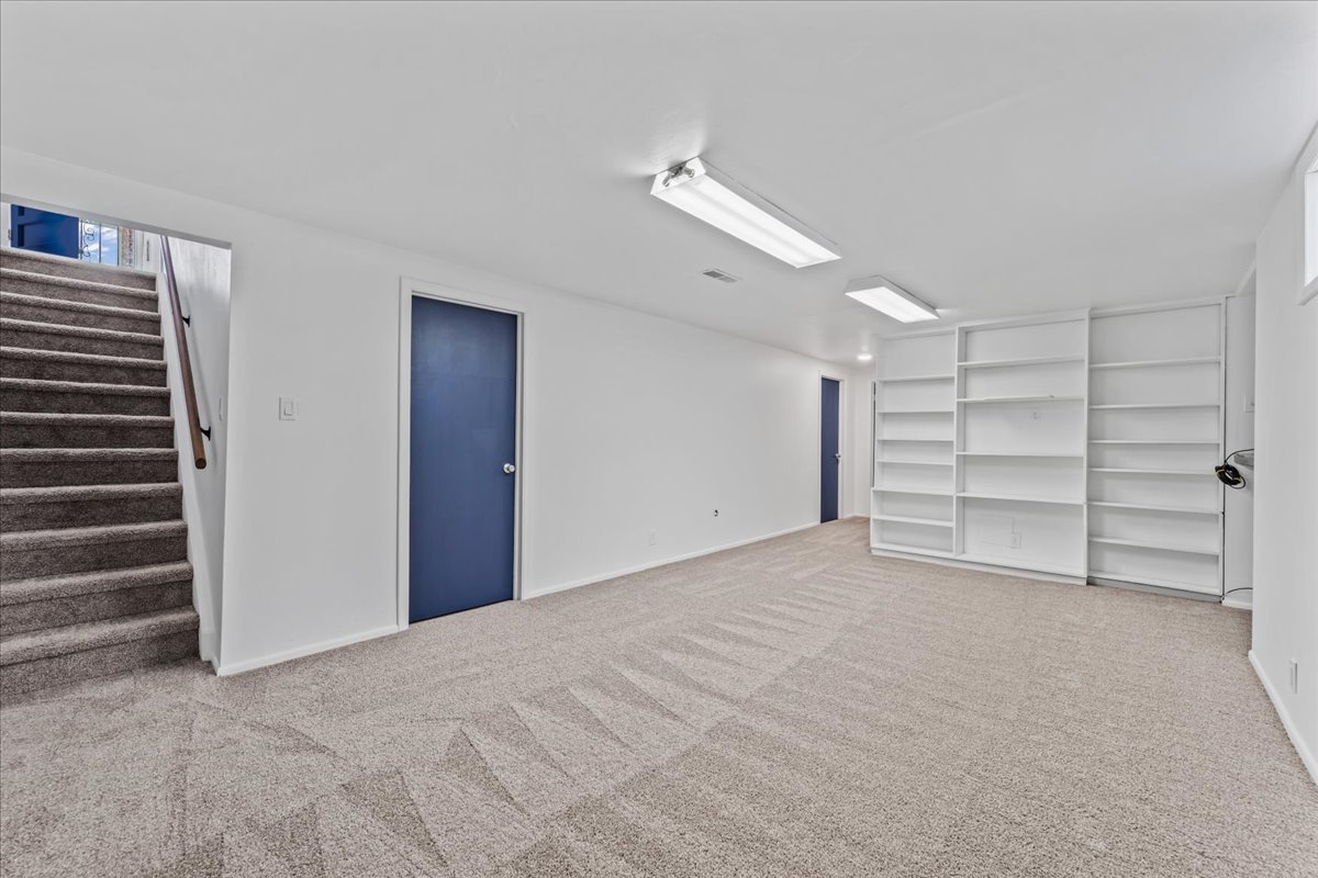 Basement Before